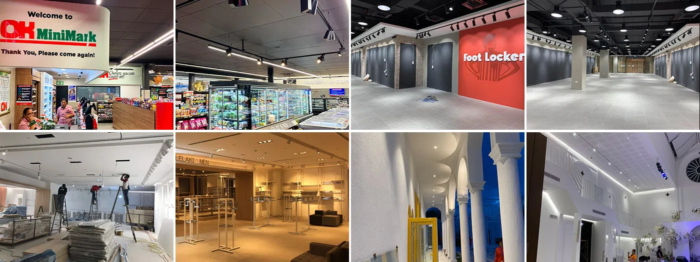 carol lighting brief introduction application